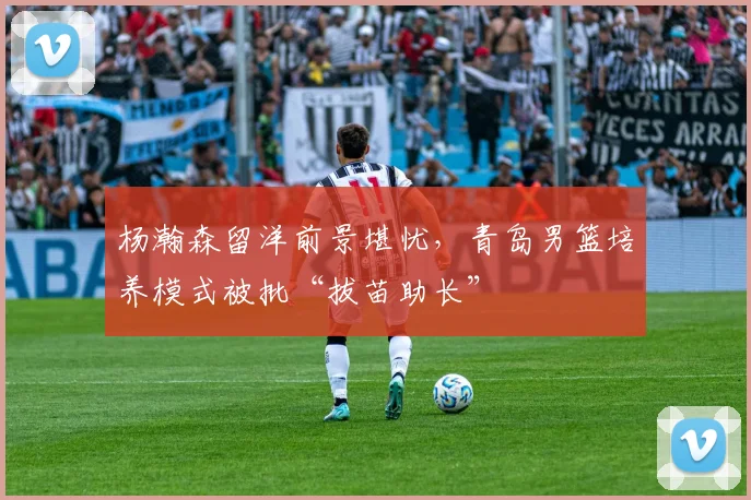 杨瀚森留洋前景堪忧，青岛男篮培养模式被批“拔苗助长”
