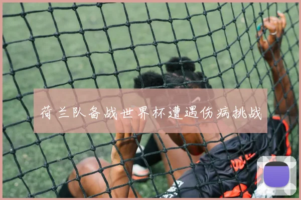 荷兰队备战世界杯遭遇伤病挑战